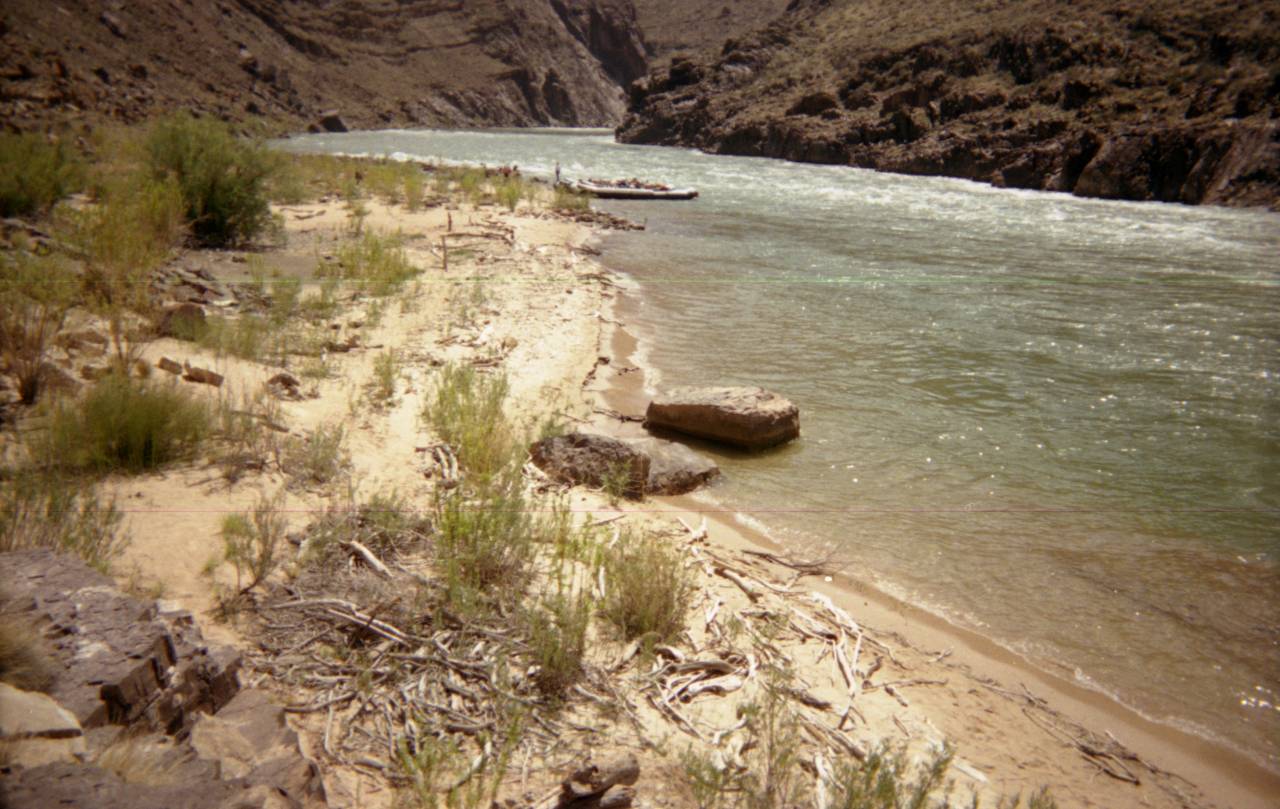 110 Mile camp before vegetation encroachment. 04/22/2000