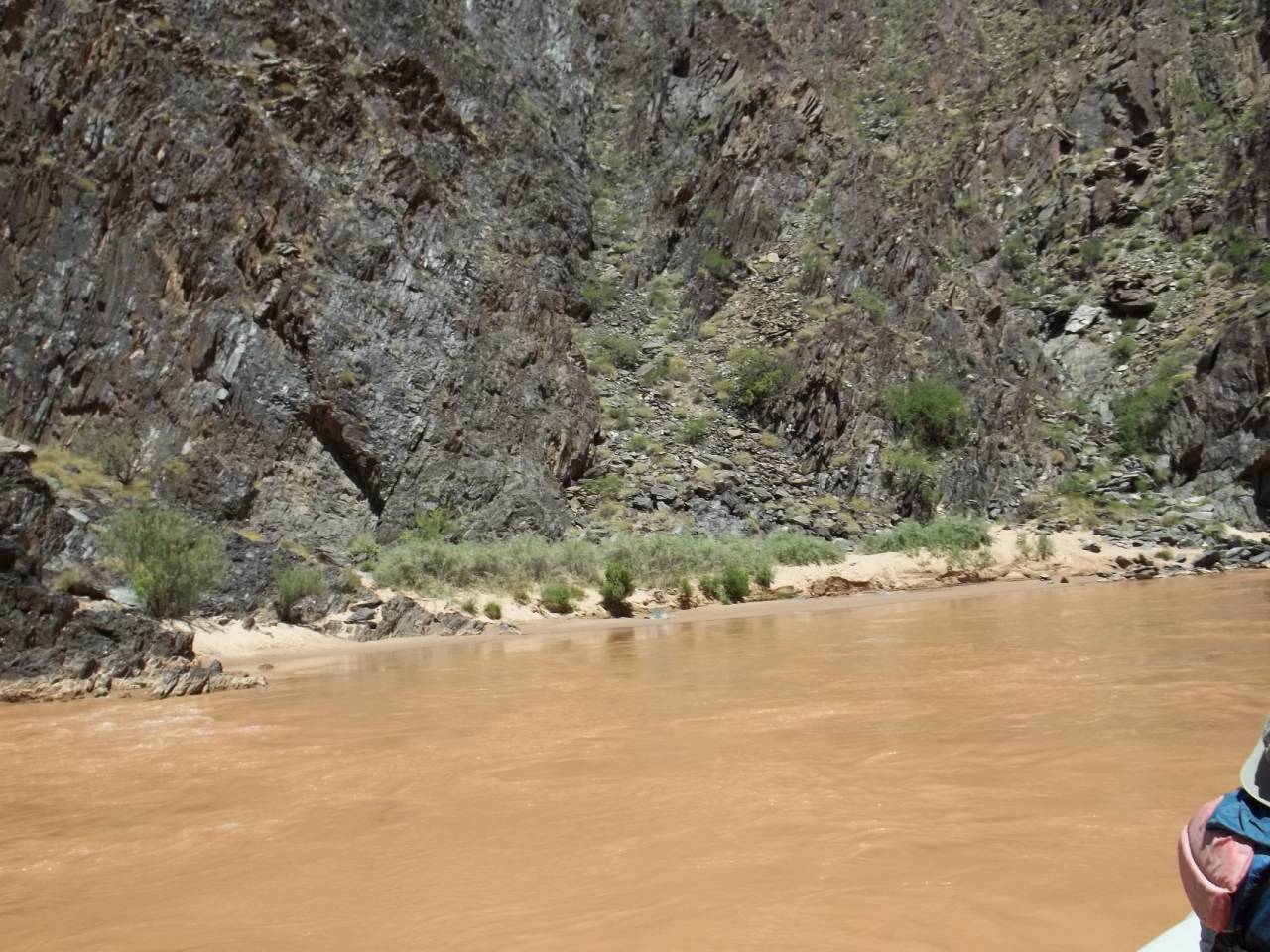 2019 photo of Clear Creek camp almost inundated by vegetation. 05/13/2019